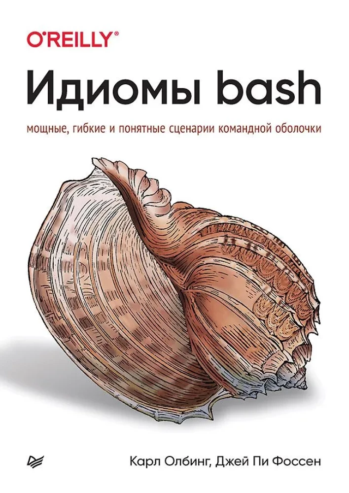 Bash idiomi