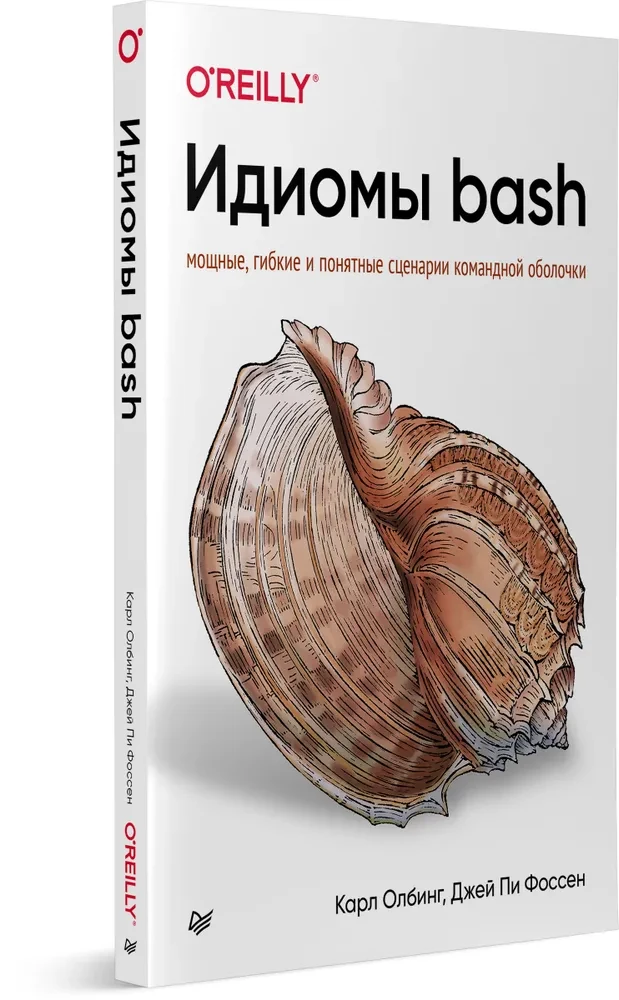 Bash idiomi