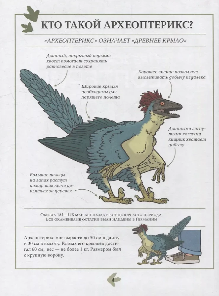 Dinozauri. Enciklopēdija komiksos. Nikni plēsēji