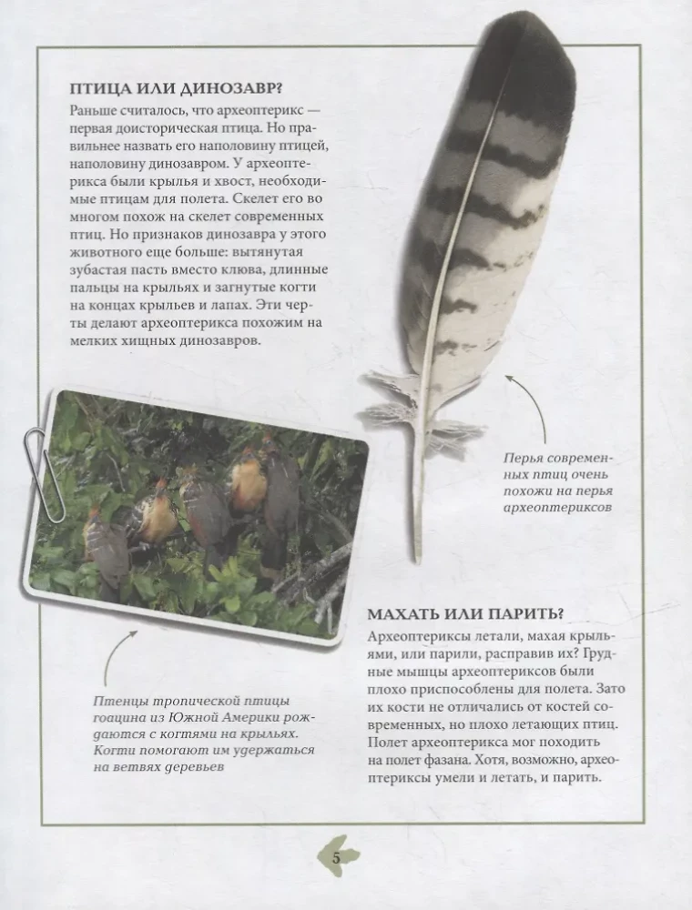 Dinozauri. Enciklopēdija komiksos. Nikni plēsēji