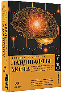 Ландшафты мозга