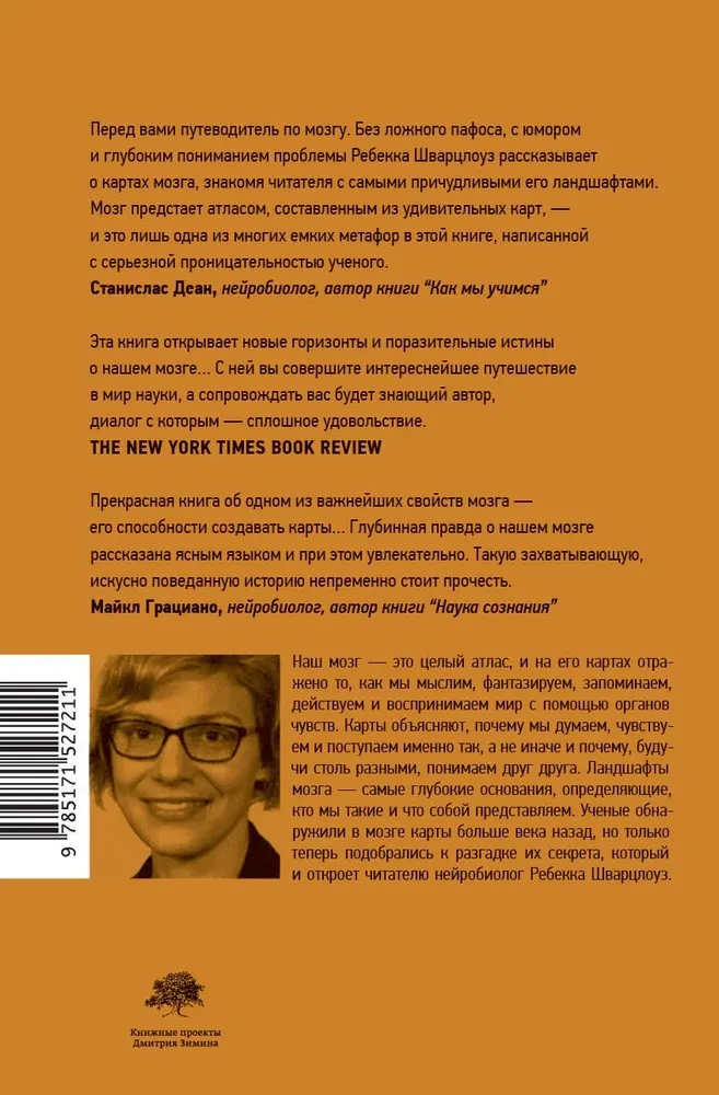 Ландшафты мозга