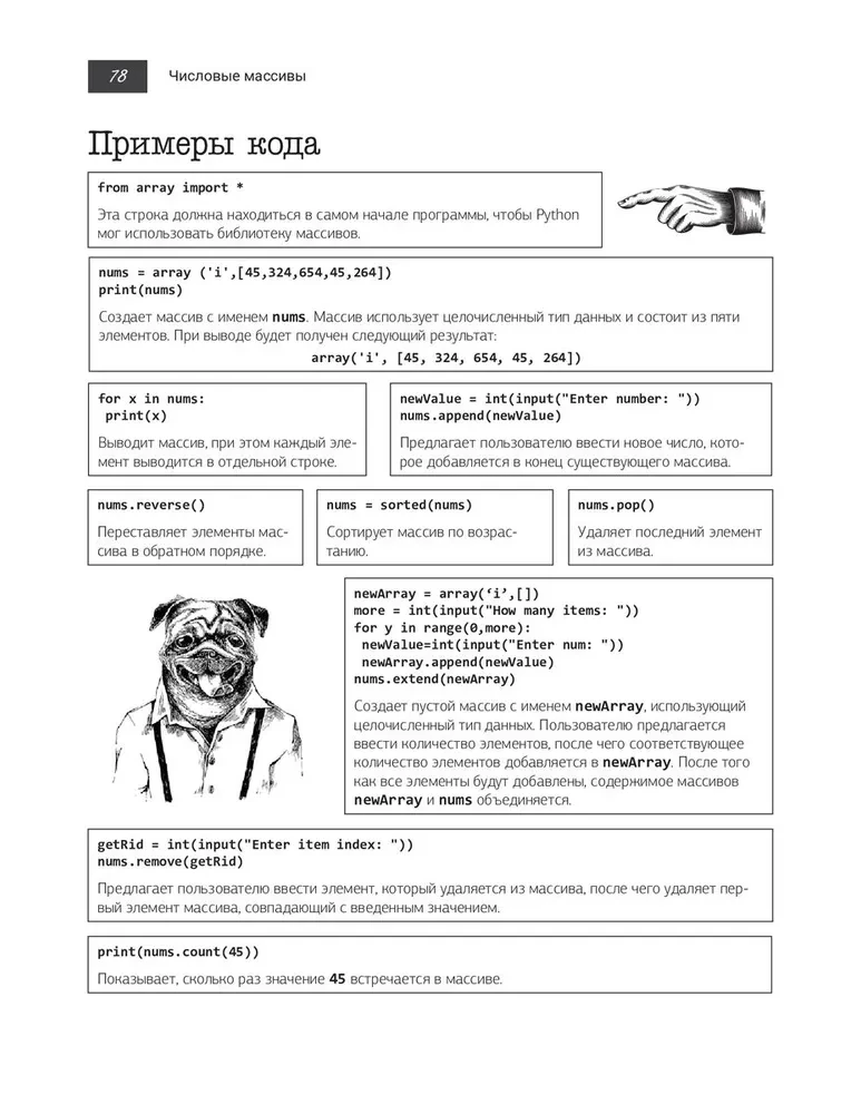 Python, например
