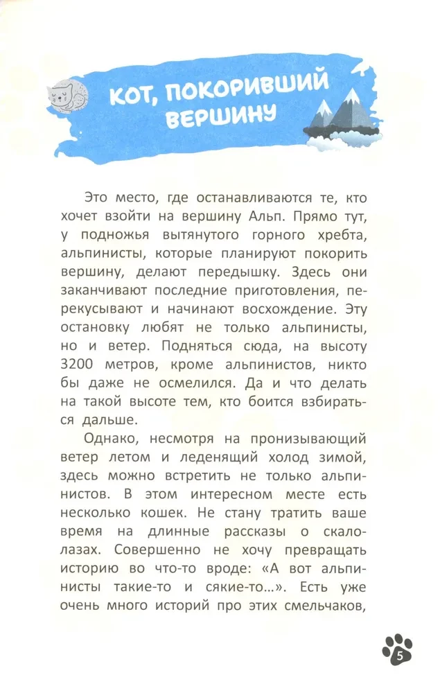 Кот, покоривший вершину