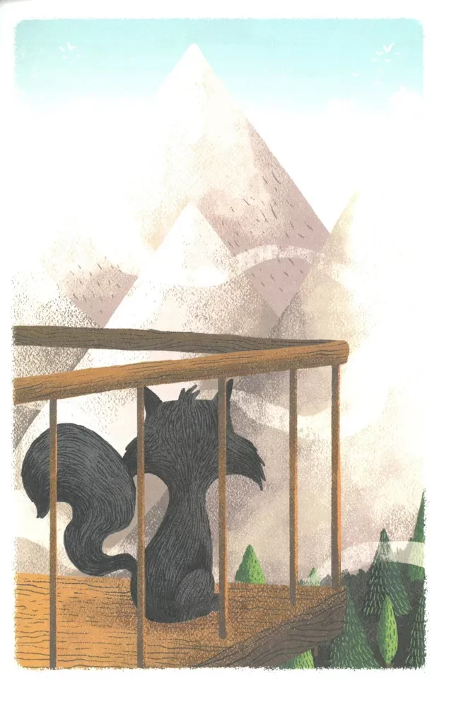 Кот, покоривший вершину