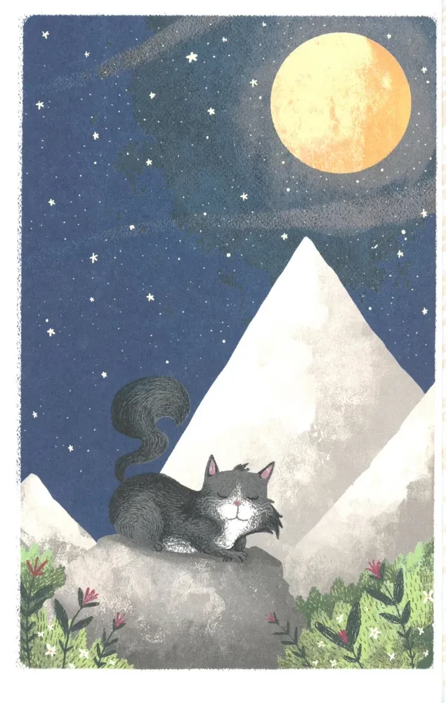 Кот, покоривший вершину