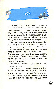 Кот, покоривший вершину
