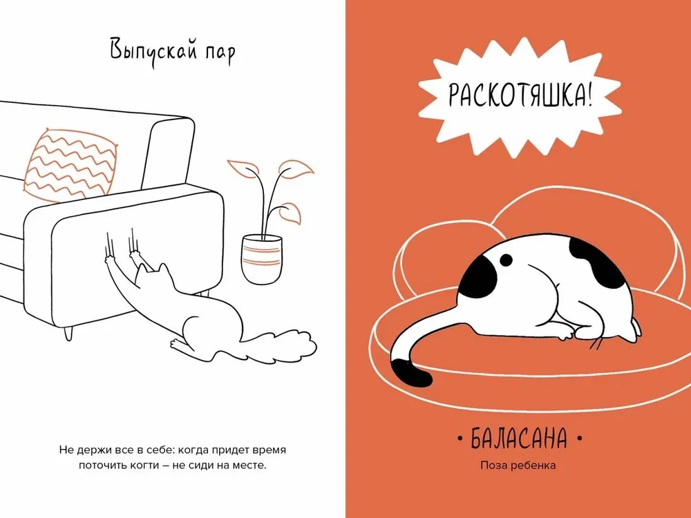 Кот всему голова. Кошачьи мудрости для жизни без стресса
