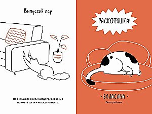 Кот всему голова. Кошачьи мудрости для жизни без стресса