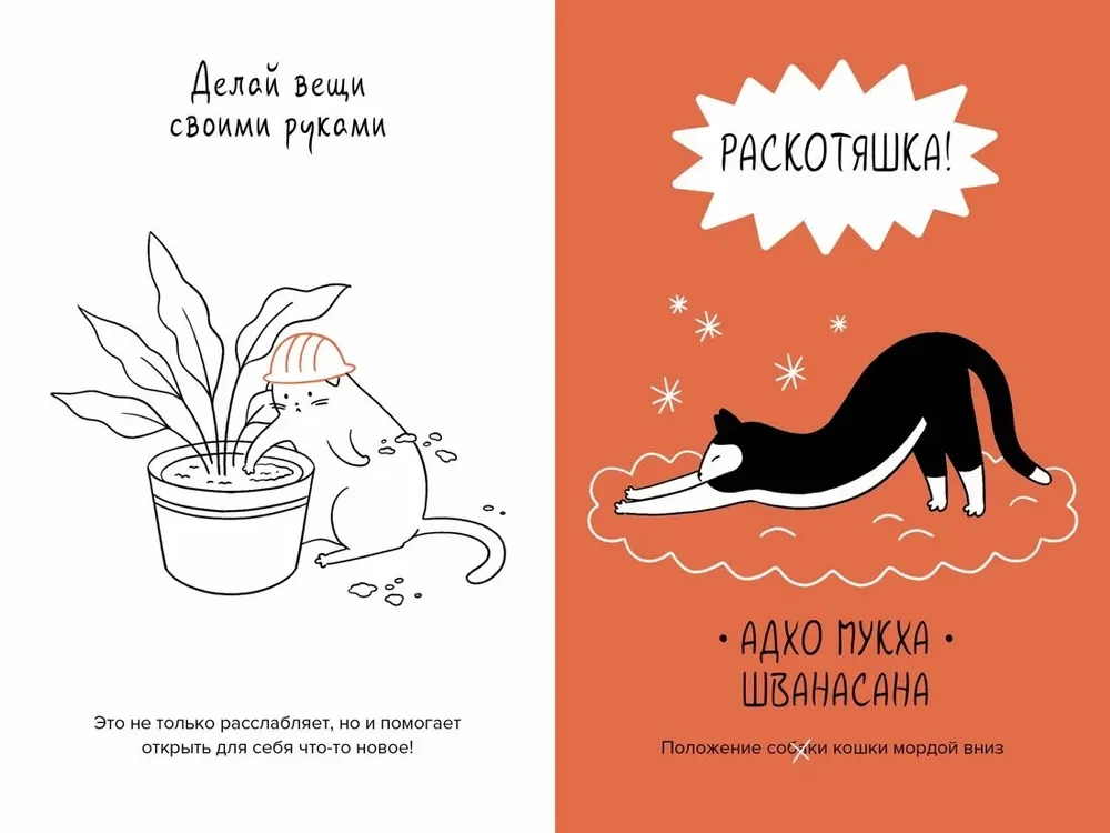 Кот всему голова. Кошачьи мудрости для жизни без стресса