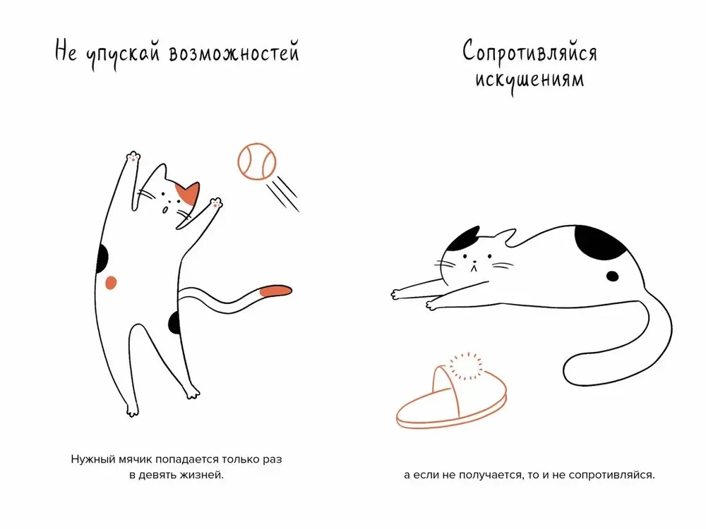 Кот всему голова. Кошачьи мудрости для жизни без стресса