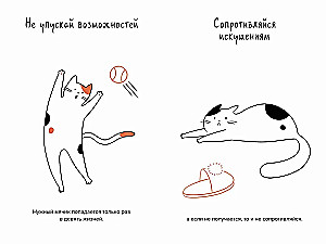 Кот всему голова. Кошачьи мудрости для жизни без стресса