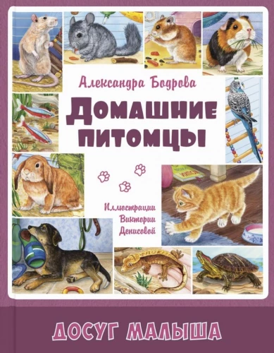 Mājas mīluļi