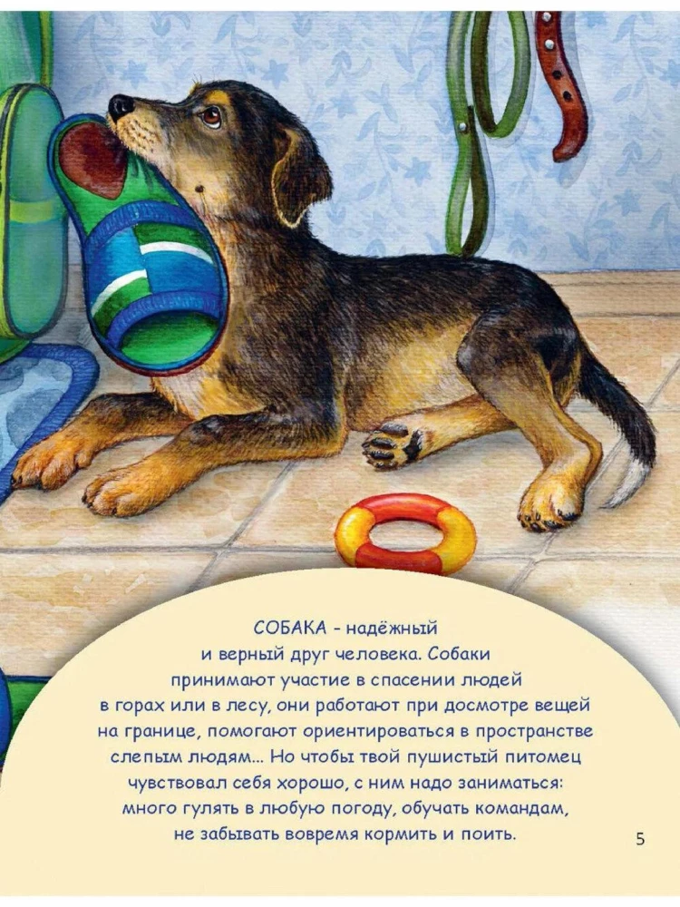 Домашние питомцы