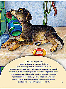Домашние питомцы