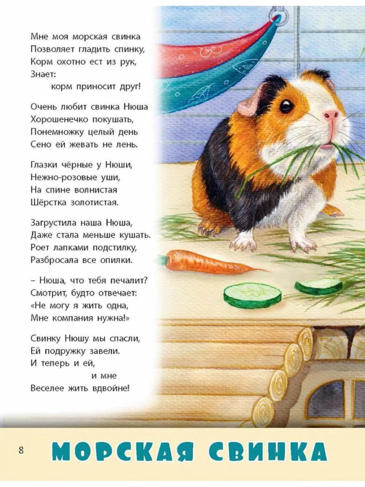 Домашние питомцы