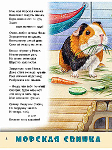 Домашние питомцы