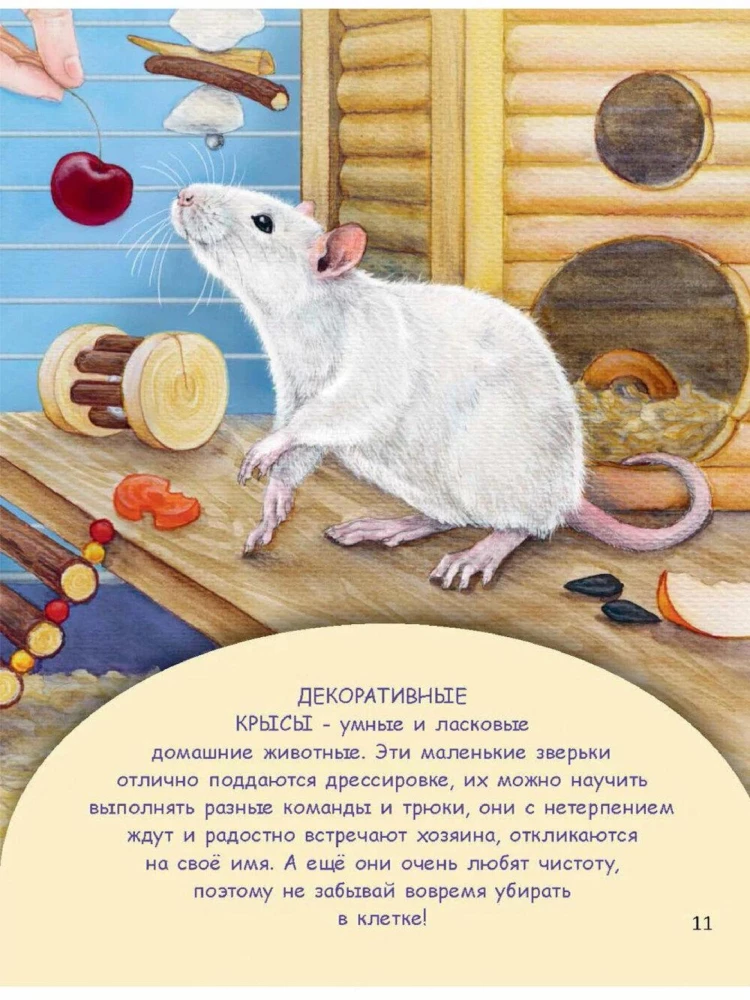 Домашние питомцы