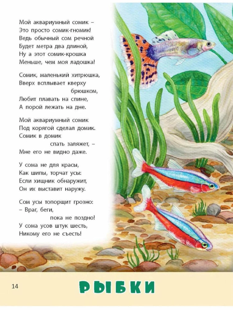 Домашние питомцы