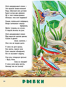 Домашние питомцы