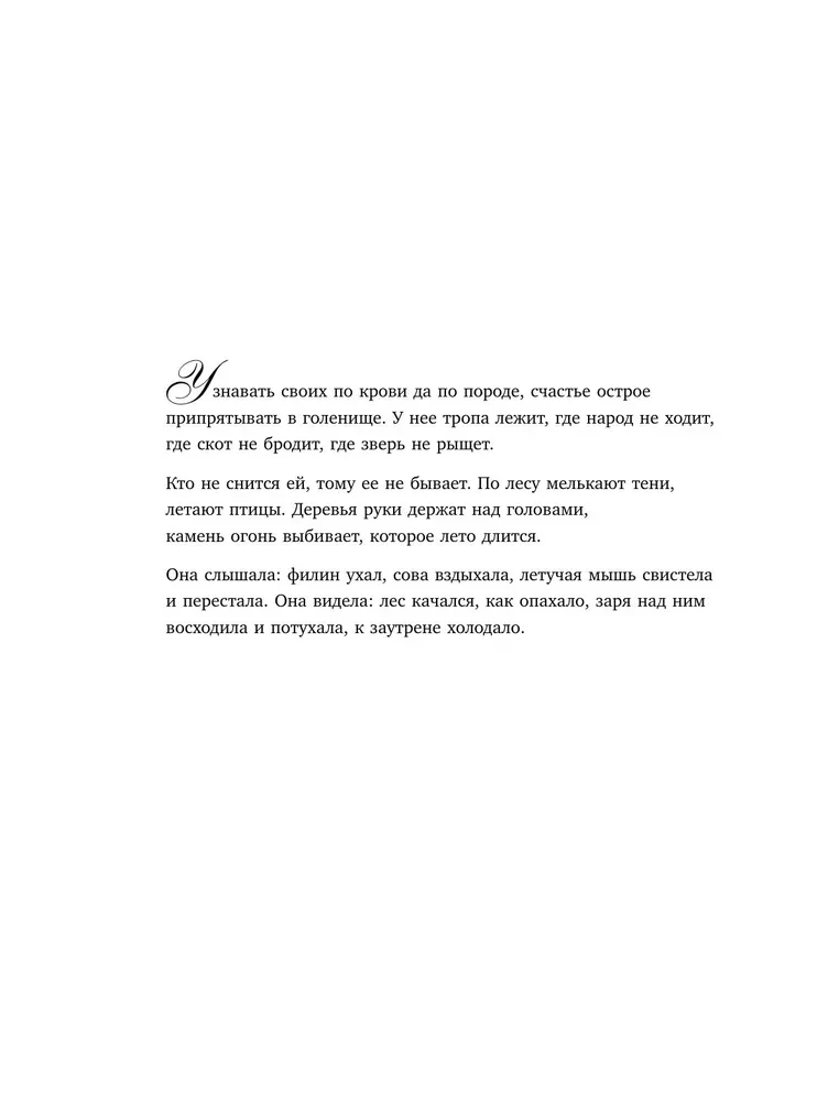 Laika alķīmija. Krāsošana-meditācija