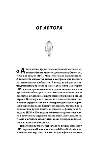 Uzbrukums, maģija, priekšmeti. JRPG ziedu stāsts Rietumos