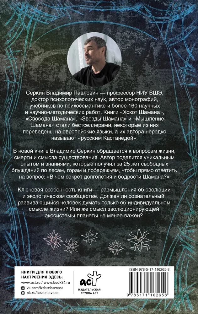 Смысл Шамана