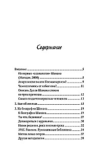 Смысл Шамана