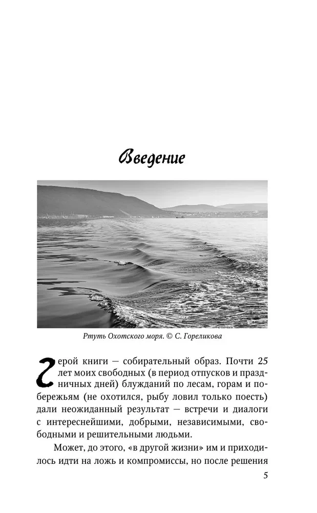 Смысл Шамана