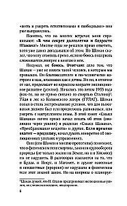 Смысл Шамана