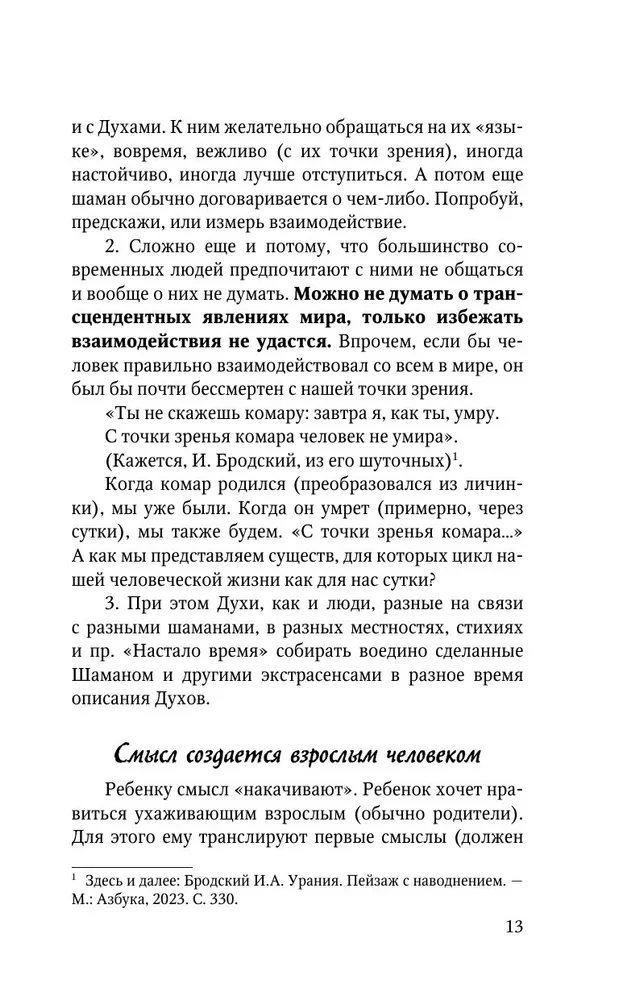 Смысл Шамана