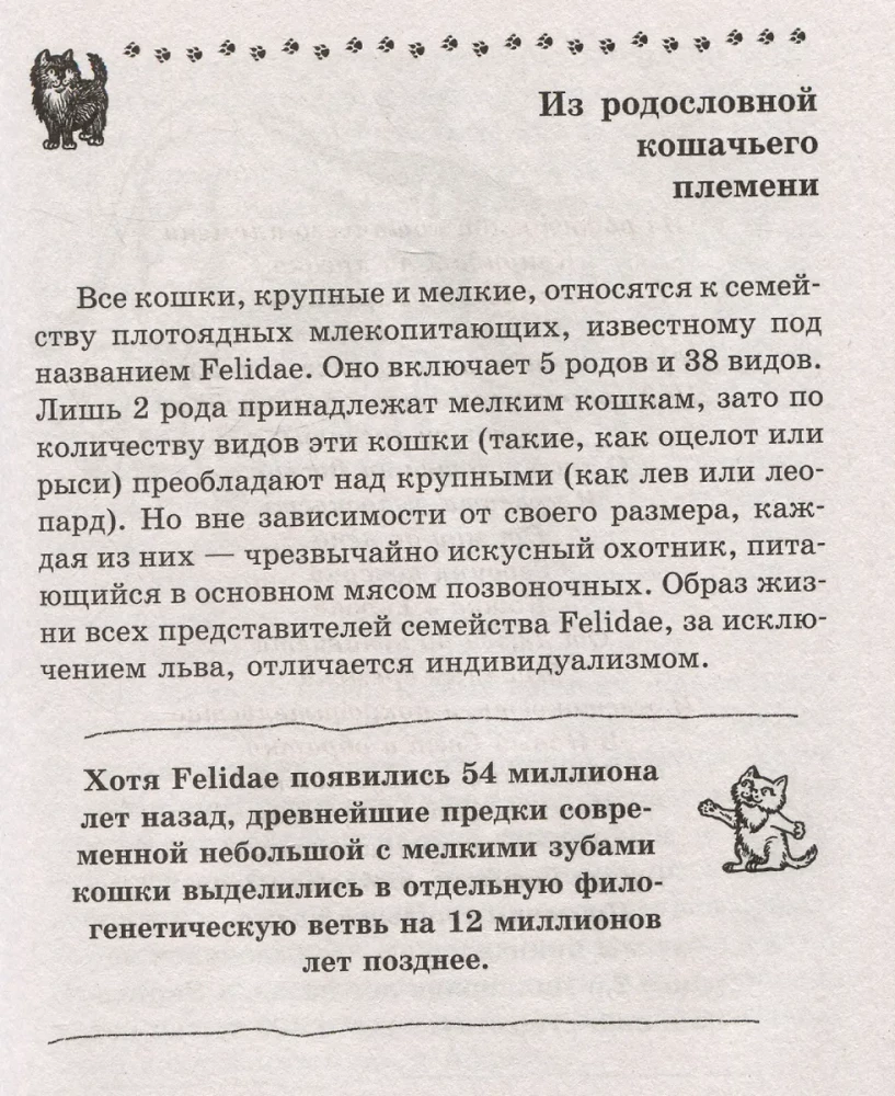 Kaķis. Pilnīga audzināšanas un kopšanas rokasgrāmata