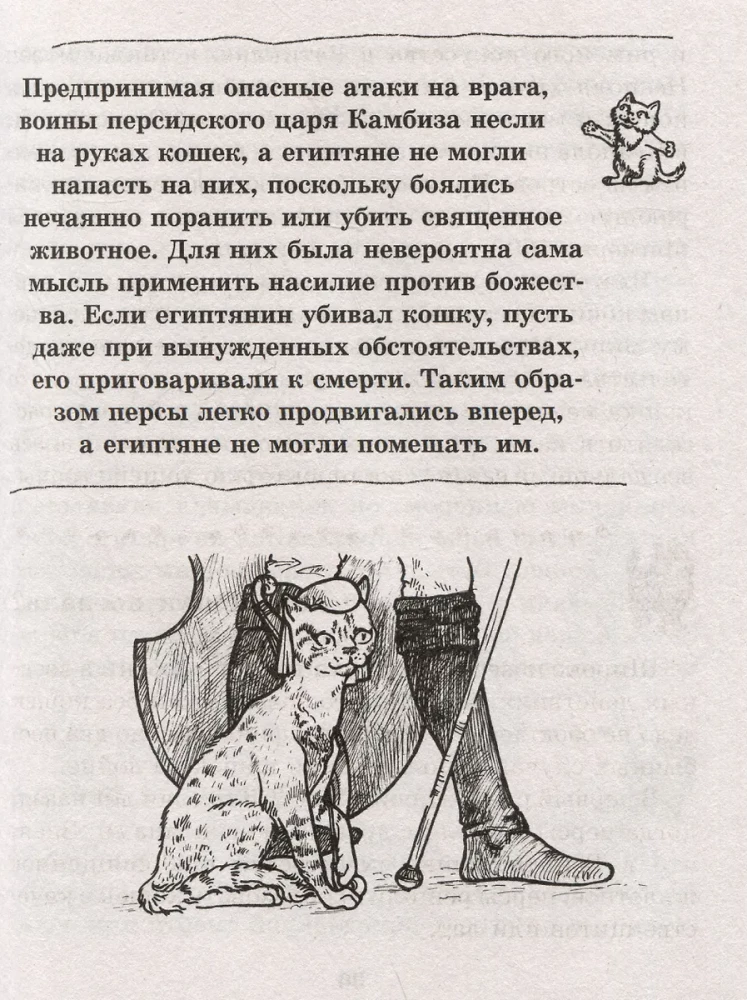 Kaķis. Pilnīga audzināšanas un kopšanas rokasgrāmata