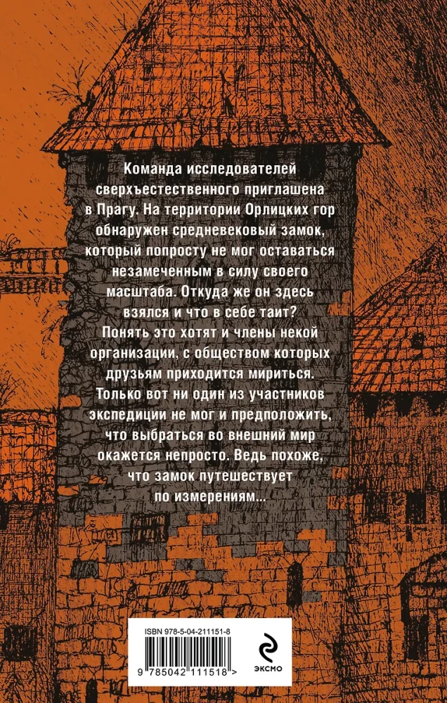 Холод туманного замка