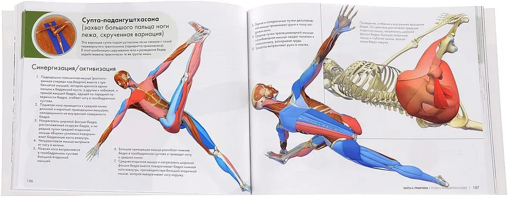 Atslēgas jogas pozas: Funkcionālās anatomijas ceļvedis jogā