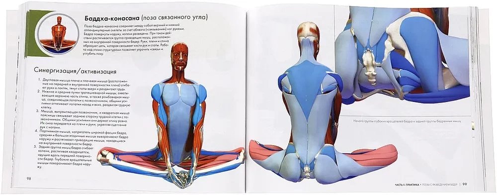 Atslēgas jogas pozas: Funkcionālās anatomijas ceļvedis jogā