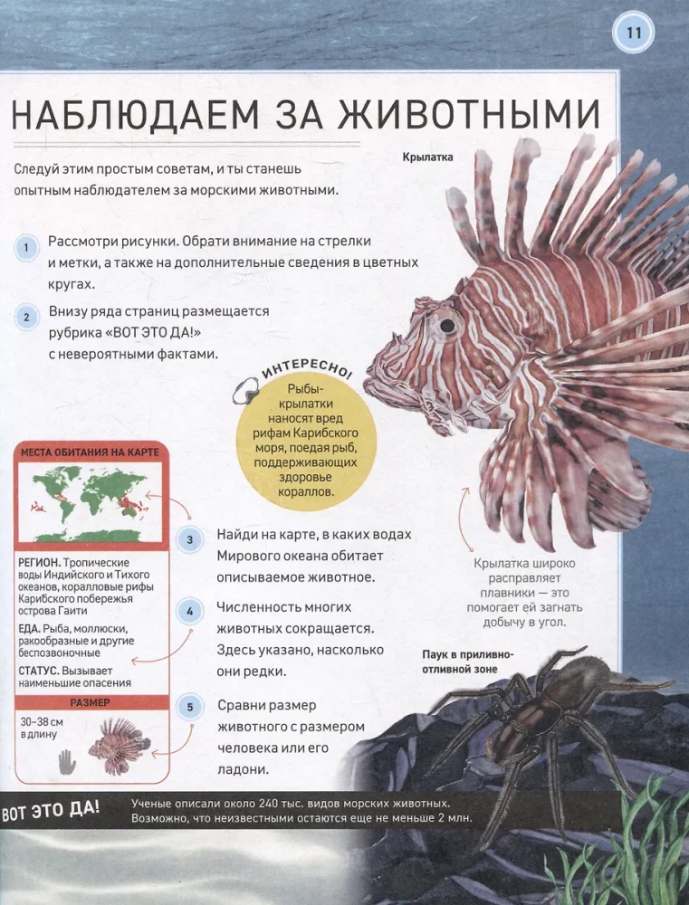 Подводный мир. Полная энциклопедия