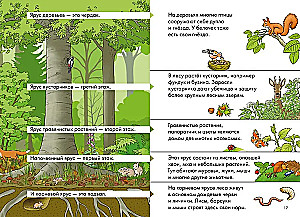 Комиксы с Конни. Лесные детективы