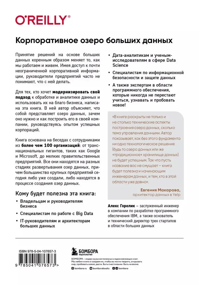 Корпоративное озеро больших данных. Новый подход к использованию Big Data и Data Science в бизнесе