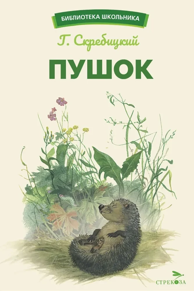 Pūšis