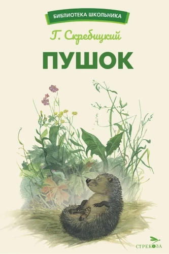 Pūšis