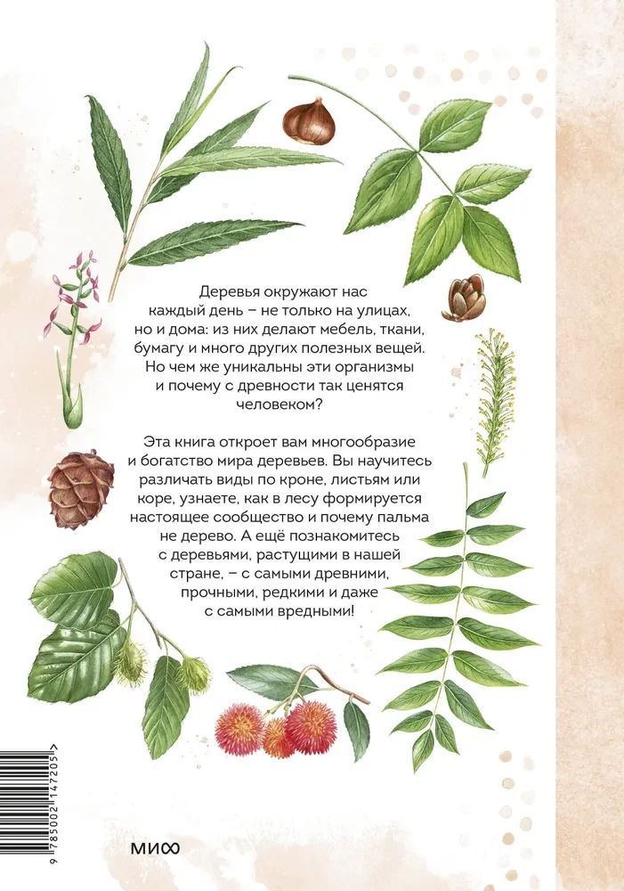Деревья. Атлас-определитель