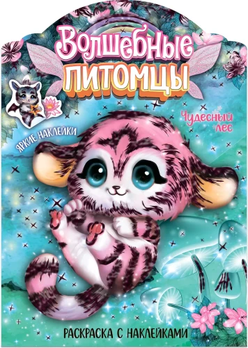 Burvju krāsojamās grāmatas ar uzlīmēm. Burvju mājdzīvnieki. Brīnišķīgais mežs