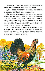 Stāsti par dabu