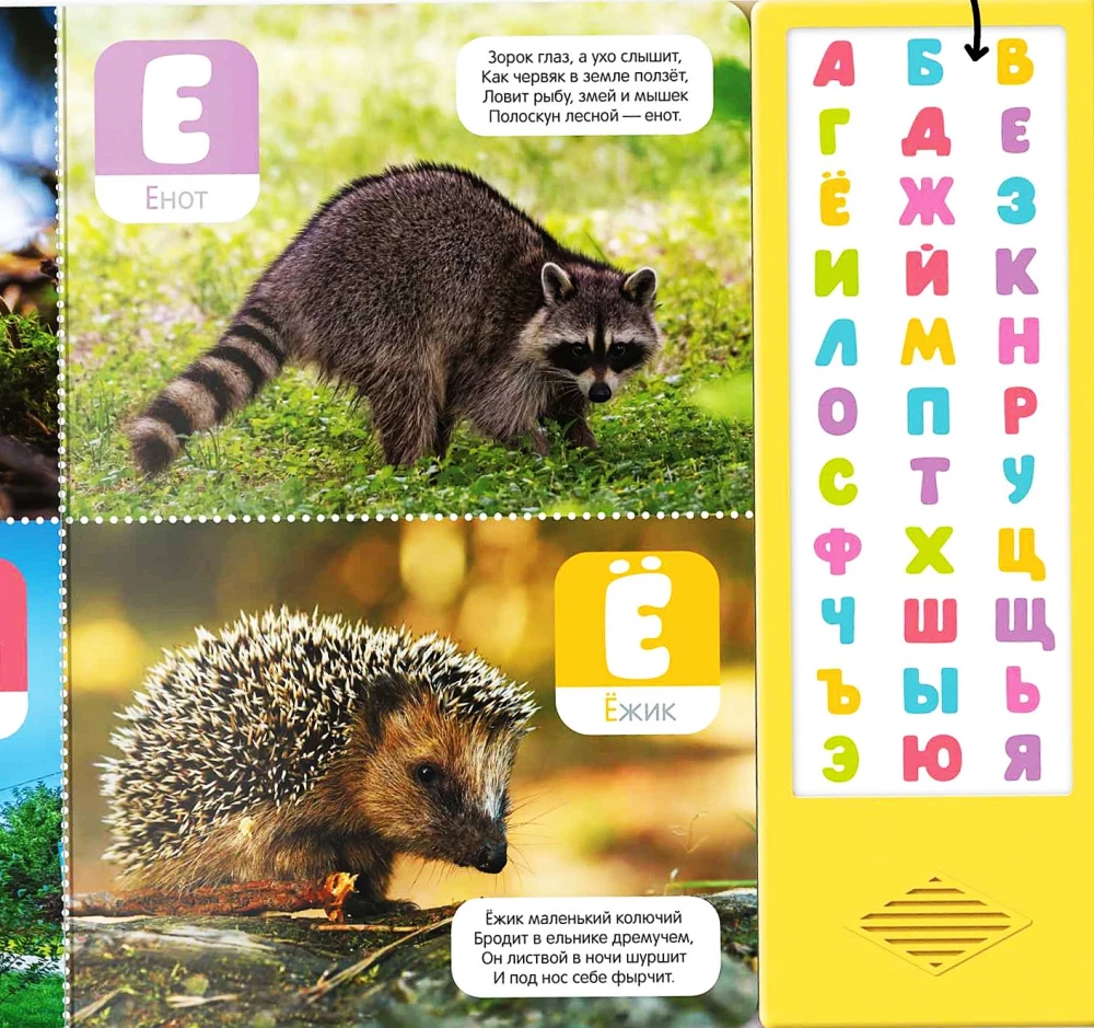 Runājošā alfabēta