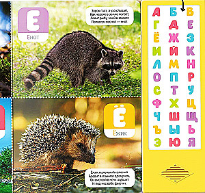 Runājošā alfabēta