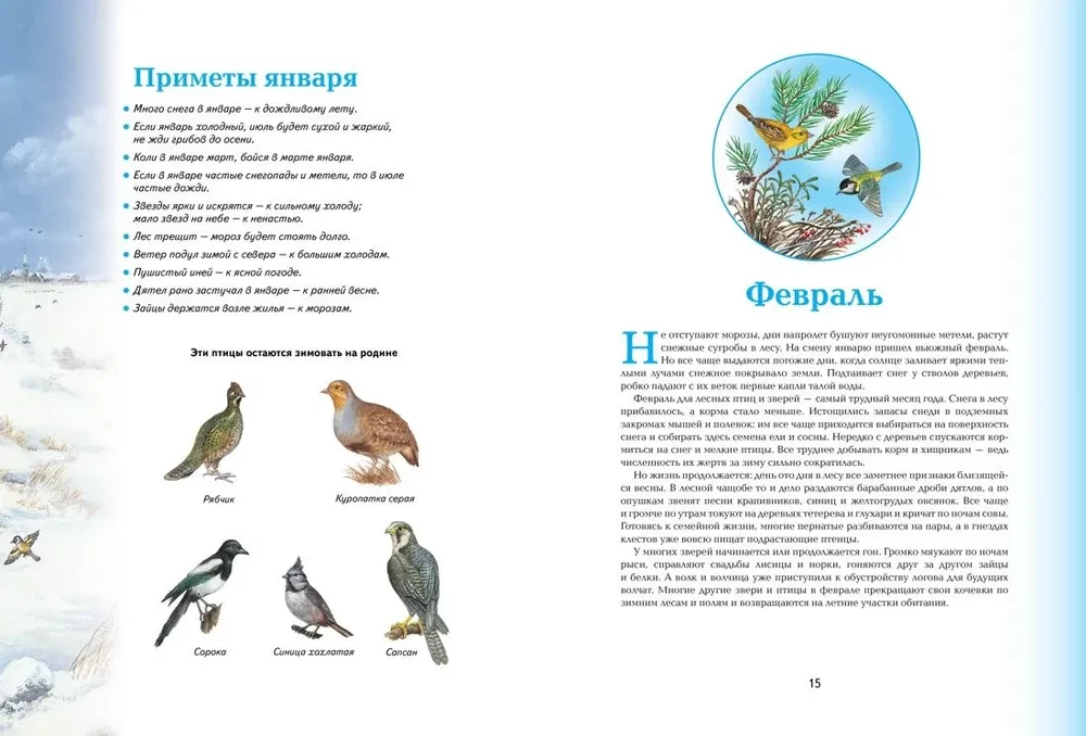 Времена года. Иллюстрированная энциклопедия