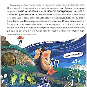 Подсказки в сказке. Где моя звёздочка?