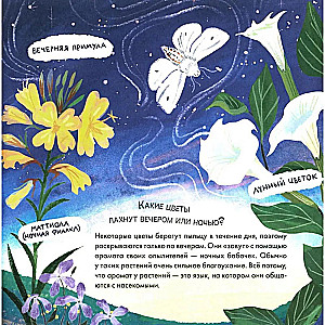 Подсказки в сказке. Где моя звёздочка?