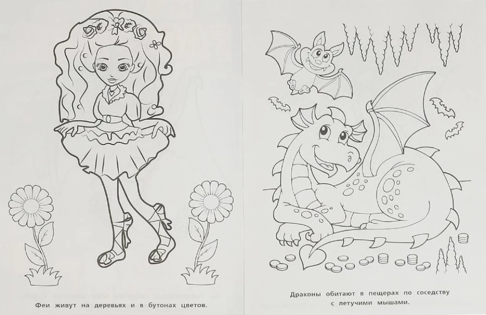 Феи и драконы. Первая раскраска мультяшная